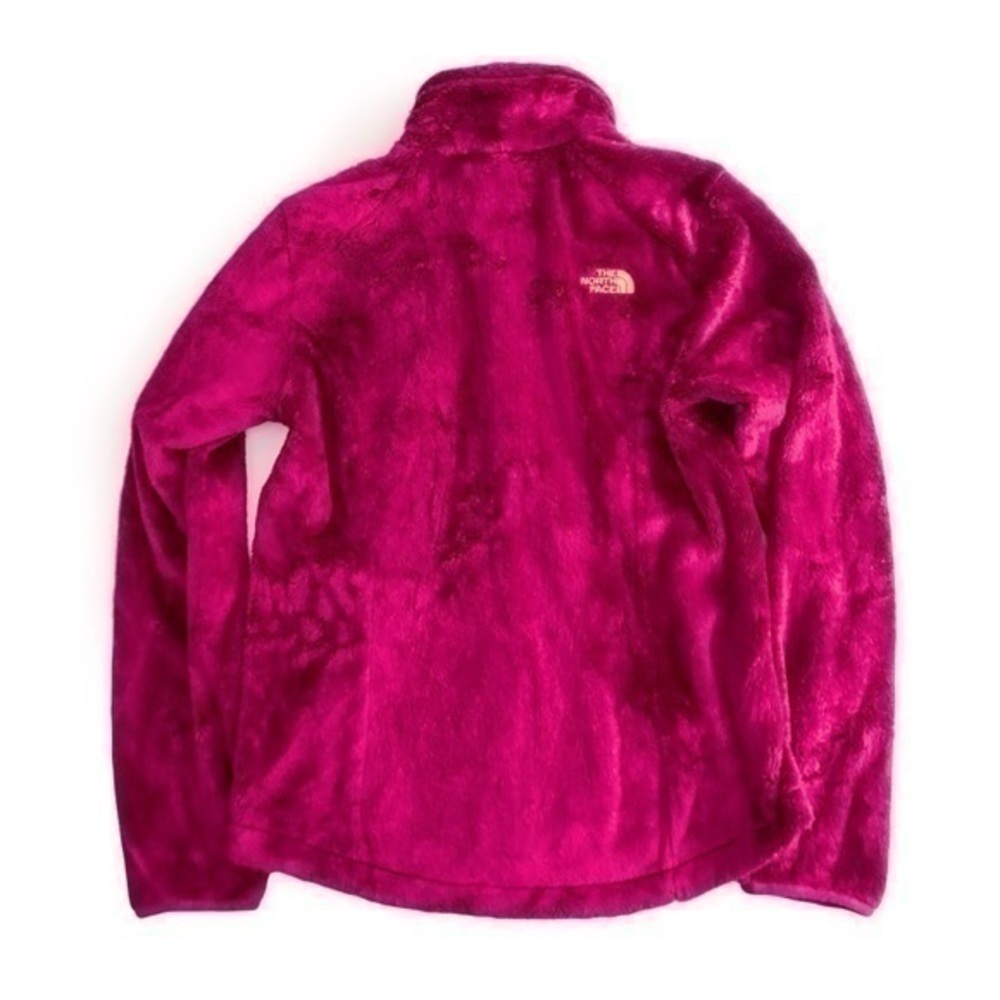 The North Face Dramatic Plum Jacket - image 2